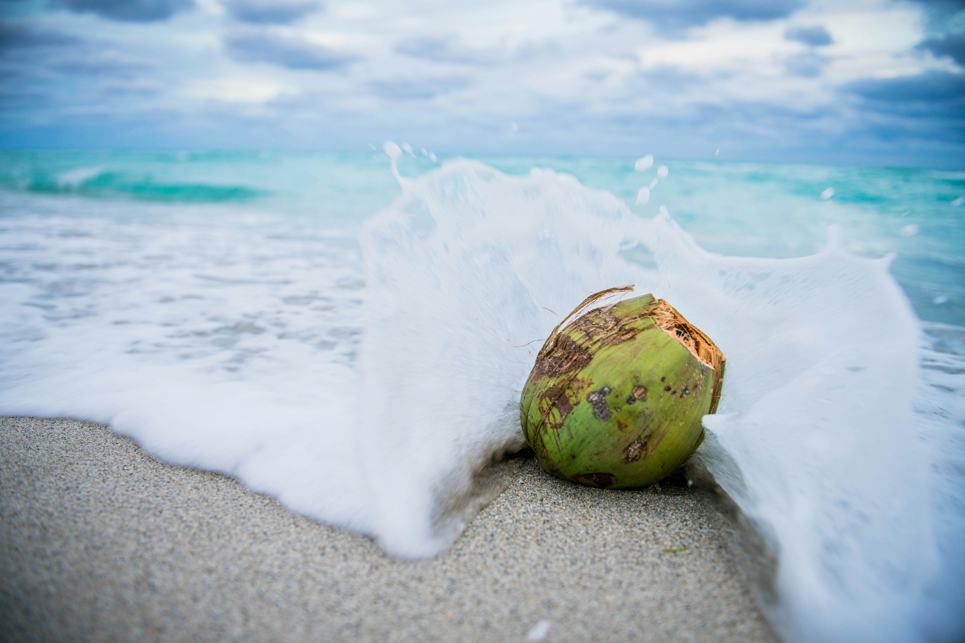 Green Coconut - Image 3